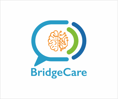 BridgeCare